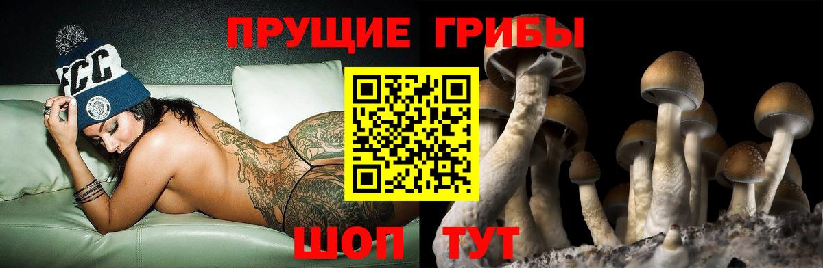 Галлюциногенные грибы MAGIC MUSHROOMS  Вход с VPN  магазин продажи   Севастополь 