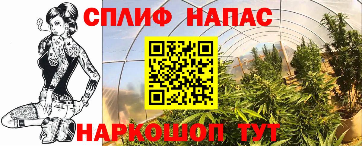 Севастополь  МАРИХУАНА Amnesia  Вход с VPN  Конопля тримм 